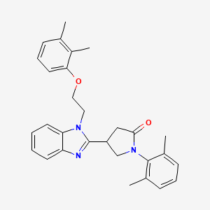 4-{1-[2-(2,3-dimethylphenoxy)ethyl]-1H-benzimidazol-2-yl}-1-(2,6-dimethylphenyl)pyrrolidin-2-one