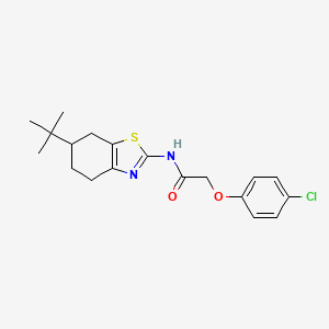 N-(6-tert-butyl-4,5,6,7-tetrahydro-1,3-benzothiazol-2-yl)-2-(4-chlorophenoxy)acetamide