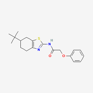 N-(6-tert-butyl-4,5,6,7-tetrahydro-1,3-benzothiazol-2-yl)-2-phenoxyacetamide