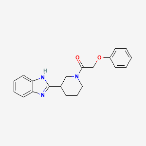 1-[3-(1H-benzimidazol-2-yl)piperidin-1-yl]-2-phenoxyethanone