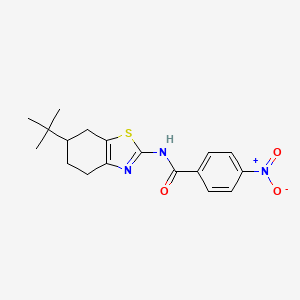 N-(6-tert-butyl-4,5,6,7-tetrahydro-1,3-benzothiazol-2-yl)-4-nitrobenzamide