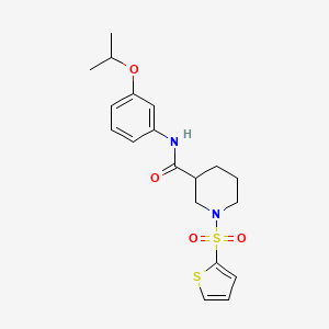 N-[3-(propan-2-yloxy)phenyl]-1-(thiophen-2-ylsulfonyl)piperidine-3-carboxamide