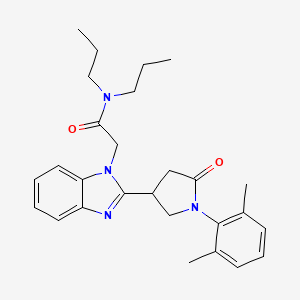 2-{2-[1-(2,6-dimethylphenyl)-5-oxopyrrolidin-3-yl]-1H-benzimidazol-1-yl}-N,N-dipropylacetamide