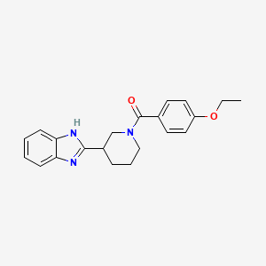 molecular formula C21H23N3O2 B11348487 [3-(1H-benzimidazol-2-yl)piperidin-1-yl](4-ethoxyphenyl)methanone 