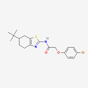 molecular formula C19H23BrN2O2S B11348748 2-(4-bromophenoxy)-N-(6-tert-butyl-4,5,6,7-tetrahydro-1,3-benzothiazol-2-yl)acetamide 