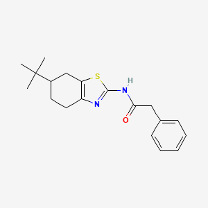 molecular formula C19H24N2OS B11350330 N-(6-tert-butyl-4,5,6,7-tetrahydro-1,3-benzothiazol-2-yl)-2-phenylacetamide 