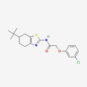 molecular formula C19H23ClN2O2S B11350746 N-(6-tert-butyl-4,5,6,7-tetrahydro-1,3-benzothiazol-2-yl)-2-(3-chlorophenoxy)acetamide 