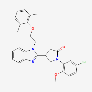 1-(5-chloro-2-methoxyphenyl)-4-{1-[2-(2,6-dimethylphenoxy)ethyl]-1H-benzimidazol-2-yl}pyrrolidin-2-one