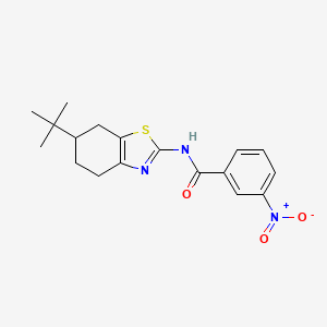 N-(6-tert-butyl-4,5,6,7-tetrahydro-1,3-benzothiazol-2-yl)-3-nitrobenzamide