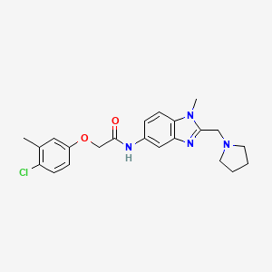 2-(4-chloro-3-methylphenoxy)-N-[1-methyl-2-(pyrrolidin-1-ylmethyl)-1H-benzimidazol-5-yl]acetamide