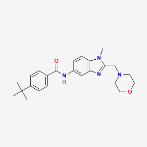 molecular formula C24H30N4O2 B11356703 4-tert-butyl-N-[1-methyl-2-(morpholin-4-ylmethyl)-1H-benzimidazol-5-yl]benzamide 