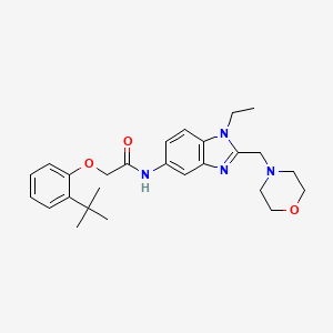 molecular formula C26H34N4O3 B11364388 2-(2-tert-butylphenoxy)-N-[1-ethyl-2-(morpholin-4-ylmethyl)-1H-benzimidazol-5-yl]acetamide 