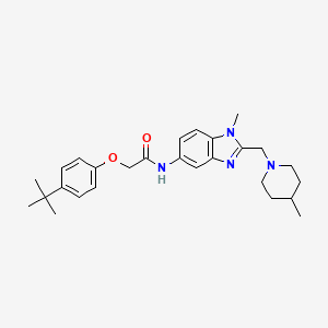 2-(4-tert-butylphenoxy)-N-{1-methyl-2-[(4-methylpiperidin-1-yl)methyl]-1H-benzimidazol-5-yl}acetamide