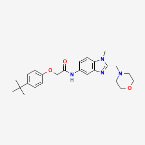 molecular formula C25H32N4O3 B11366328 2-(4-tert-butylphenoxy)-N-[1-methyl-2-(morpholin-4-ylmethyl)-1H-benzimidazol-5-yl]acetamide 