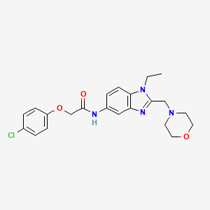 2-(4-chlorophenoxy)-N-[1-ethyl-2-(morpholin-4-ylmethyl)-1H-benzimidazol-5-yl]acetamide