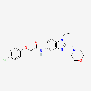 molecular formula C23H27ClN4O3 B11371991 2-(4-chlorophenoxy)-N-[2-(morpholin-4-ylmethyl)-1-(propan-2-yl)-1H-benzimidazol-5-yl]acetamide 