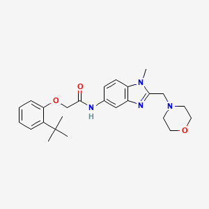 2-(2-tert-butylphenoxy)-N-[1-methyl-2-(morpholin-4-ylmethyl)-1H-benzimidazol-5-yl]acetamide