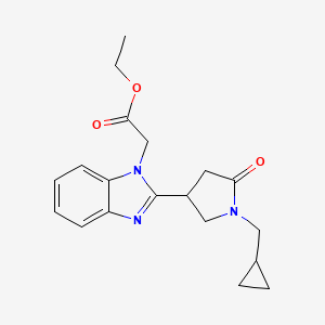 molecular formula C19H23N3O3 B11376953 ethyl {2-[1-(cyclopropylmethyl)-5-oxopyrrolidin-3-yl]-1H-benzimidazol-1-yl}acetate 