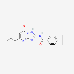 molecular formula C19H23N5O2 B11394120 4-tert-butyl-N-(7-hydroxy-5-propyl[1,2,4]triazolo[1,5-a]pyrimidin-2-yl)benzamide 