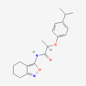 molecular formula C19H24N2O3 B11394442 2-[4-(propan-2-yl)phenoxy]-N-(4,5,6,7-tetrahydro-2,1-benzoxazol-3-yl)propanamide 