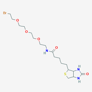 molecular formula C₁₈H₃₂BrN₃O₅S B1139809 1-Biotinylamino-3,6,9-trioxaundecane-11-bromide CAS No. 1041766-91-9