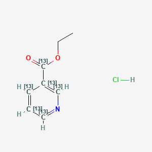 molecular formula C₂¹³C₆H₁₀ClNO₂ B1139824 烟酸乙酯-1,2',3',4',5',6'-13C6 盐酸盐 CAS No. 1346604-87-2