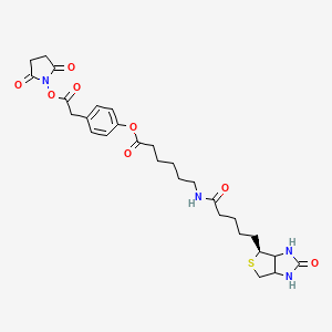 molecular formula C₂₈H₃₆N₄O₈S B1139825 3-(4-(N-Biotinoyl-6-aminocaproyloxy)phenyl)propionic Acid, N-Hydroxysuccinimide Ester CAS No. 1322623-44-8