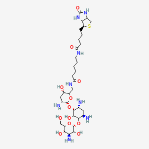 molecular formula C₃₄H₆₂N₈O₁₂S B1139895 生物素酰胺己酸链霉素酰胺 CAS No. 419573-19-6