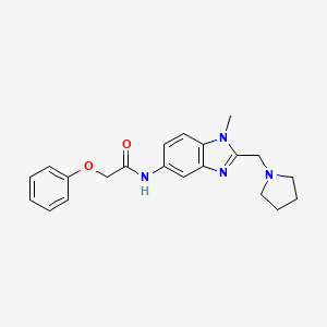 N-(1-Methyl-2-pyrrolidin-1-ylmethyl-1H-benzoimidazol-5-yl)-2-phenoxy-acetamide