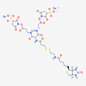 molecular formula C₃₂H₄₂N₈Na₂O₁₉S₅ B1140001 6-[2-生物素酰胺乙基]-二硫代丙酰胺]-4,8-二氮杂-5,7-二酮十一酸，双-N-磺基琥珀酰亚胺酯二钠盐 CAS No. 1044220-56-5