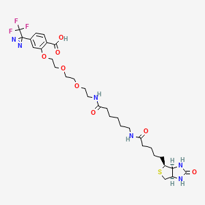 molecular formula C₃₁H₄₃F₃N₆O₈S B1140038 2-[2-[2-[2-[6-(Biotinylaminohexanoyl]aminoethoxy]ethoxy]ethoxy]-4-[3-(trifluoromethyl)-3H-diazirin-3 CAS No. 207971-23-1