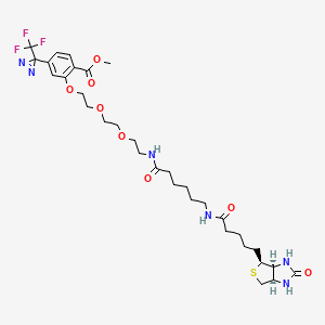 B1140039 2-[2-[2-[2-[6-(Biotinylaminohexanoyl]aminoethoxy]ethoxy]ethoxy]-4-[3-(trifluoromethyl)-3H-diazirin-3-yl]benzoic Acid, Methyl Ester CAS No. 1217691-71-8