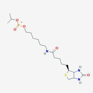 molecular formula C₁₉H₃₆N₃O₅PS B1140068 6-N-Biotinylaminohexyl Isopropyl Hydrogenphosphonate CAS No. 224583-37-3