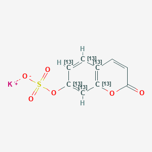 molecular formula C₃¹³C₆H₅KO₆S B1140899 7-Hydroxy Coumarin-13C6 Sulfate Potassium Salt CAS No. 1189702-86-0