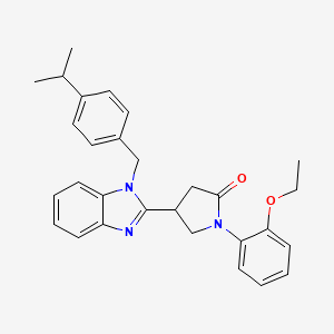 1-(2-ethoxyphenyl)-4-{1-[4-(propan-2-yl)benzyl]-1H-benzimidazol-2-yl}pyrrolidin-2-one