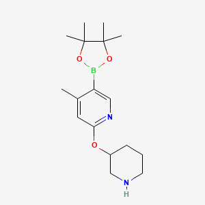 B1141554 4-Methyl-2-(piperidin-3-yloxy)-5-(4,4,5,5-tetramethyl-[1,3,2]dioxaborolan-2-yl)pyridine CAS No. 1350559-15-7