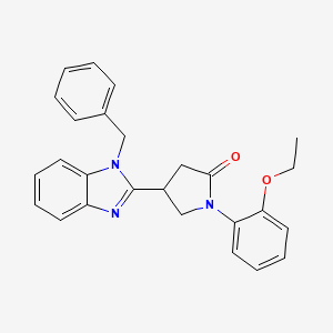 molecular formula C26H25N3O2 B11415625 4-(1-benzyl-1H-benzimidazol-2-yl)-1-(2-ethoxyphenyl)pyrrolidin-2-one 