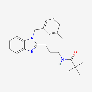 molecular formula C23H29N3O B11418206 2,2-dimethyl-N-{3-[1-(3-methylbenzyl)-1H-benzimidazol-2-yl]propyl}propanamide 