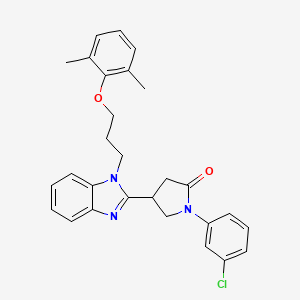 1-(3-chlorophenyl)-4-{1-[3-(2,6-dimethylphenoxy)propyl]-1H-benzimidazol-2-yl}pyrrolidin-2-one