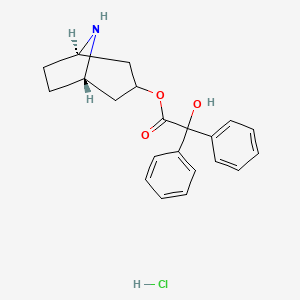 molecular formula C₂₁H₂₄ClNO₃ B1142047 内消旋-8-氮杂双环[3.2.1]辛烷-3-基 2-羟基-2,2-二苯基乙酸盐盐酸盐 CAS No. 63516-30-3