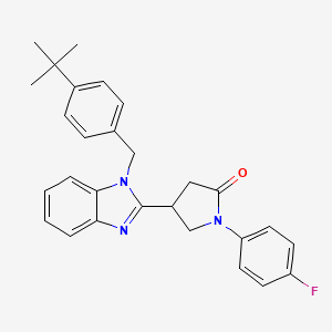 molecular formula C28H28FN3O B11420860 4-[1-(4-tert-butylbenzyl)-1H-benzimidazol-2-yl]-1-(4-fluorophenyl)pyrrolidin-2-one 