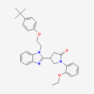 4-{1-[2-(4-tert-butylphenoxy)ethyl]-1H-benzimidazol-2-yl}-1-(2-ethoxyphenyl)pyrrolidin-2-one