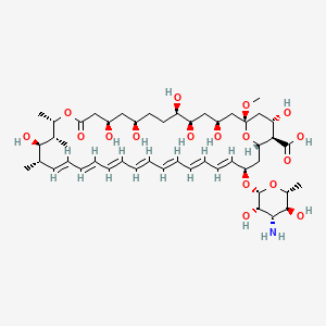 molecular formula C₄₈H₇₅NO₁₇ B1142324 两性霉素 X1 CAS No. 136135-57-4