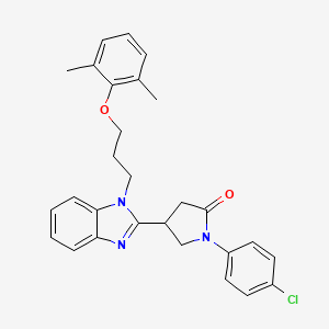 1-(4-chlorophenyl)-4-{1-[3-(2,6-dimethylphenoxy)propyl]-1H-benzimidazol-2-yl}pyrrolidin-2-one