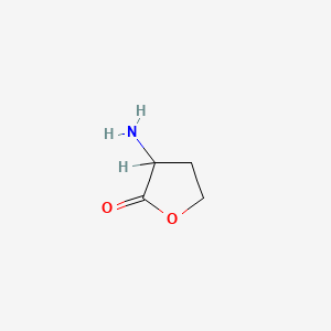 molecular formula C4 H7 N O2 . H I B1143093 高丝氨酸内酯 CAS No. 171736-85-9