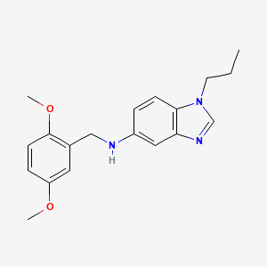 molecular formula C19H23N3O2 B11432174 N-(2,5-dimethoxybenzyl)-1-propyl-1H-benzimidazol-5-amine 