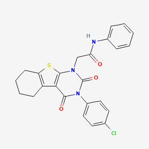 molecular formula C24H20ClN3O3S B11433989 2-[3-(4-chlorophenyl)-2,4-dioxo-3,4,5,6,7,8-hexahydro[1]benzothieno[2,3-d]pyrimidin-1(2H)-yl]-N-phenylacetamide 