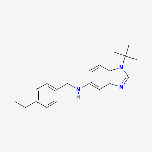 1-tert-butyl-N-(4-ethylbenzyl)-1H-benzimidazol-5-amine