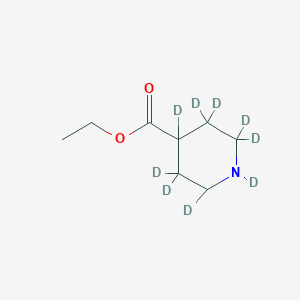 B1144076 Ethyl 1,2,2,3,3,4,5,5,6-nonadeuteriopiperidine-4-carboxylate CAS No. 1219803-75-4