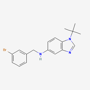 N-(3-bromobenzyl)-1-tert-butyl-1H-benzimidazol-5-amine